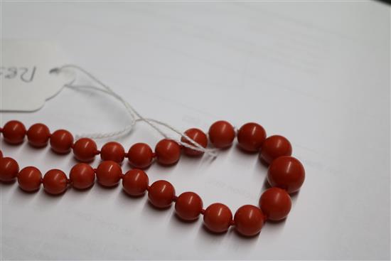 A single strand graduated coral bead necklace, with yellow metal clasp, gross weight 53 grams, 64cm.